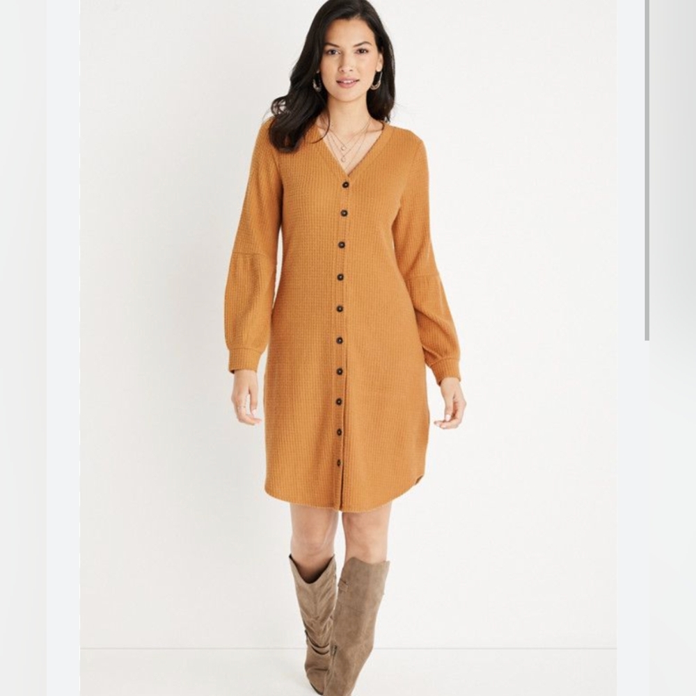 NWT Maurices Dress